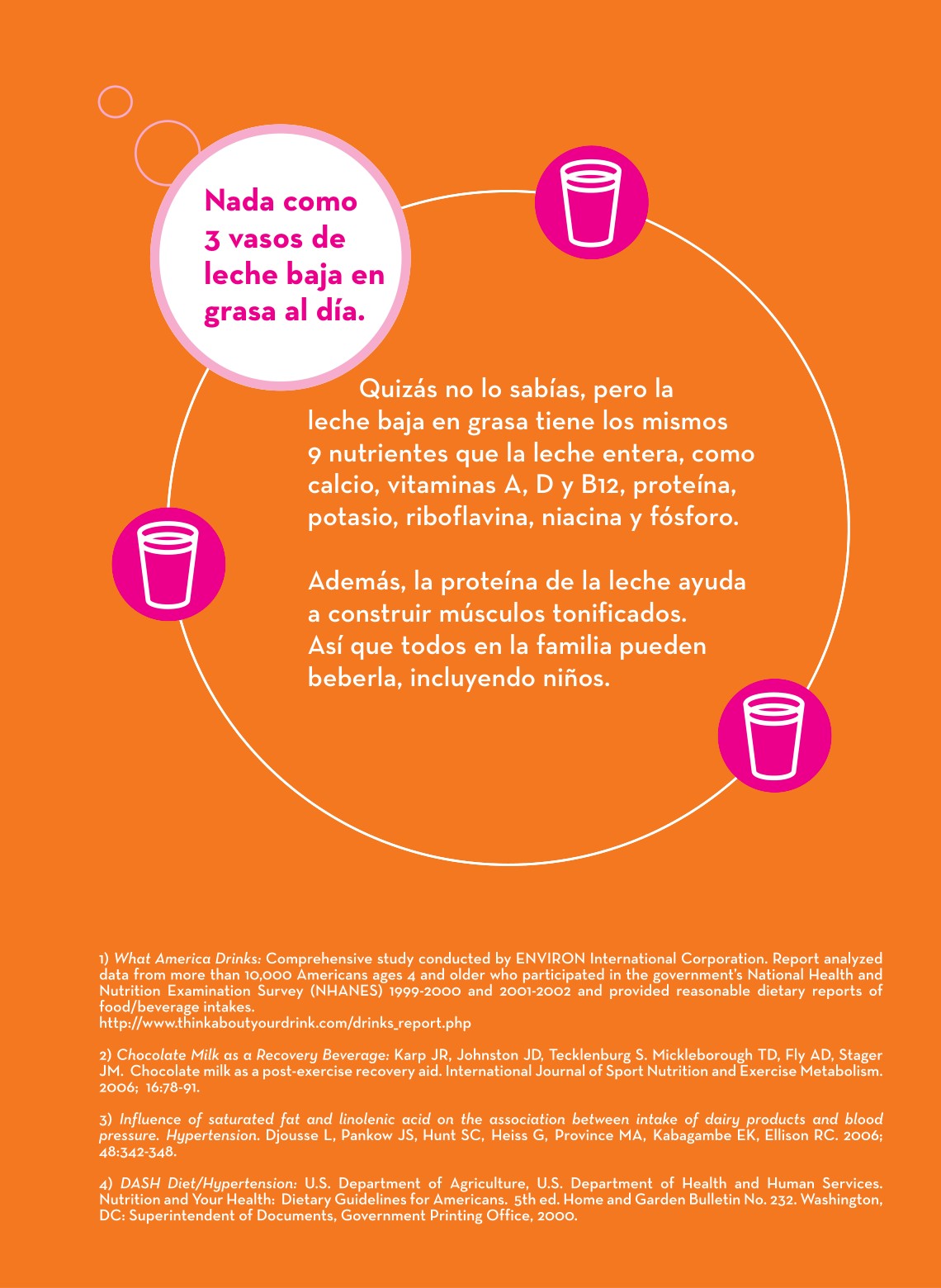 “Piensa lo que bebes” — got milk? Spanish-language booklet — “Nada como 3 vasos de leche baja en grasa al día”